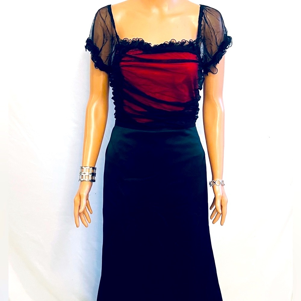 Boston Proper Sheer Black & Red Top L